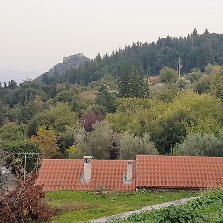 Luxury House In The Hills Guest House Спарти Екстериор снимка